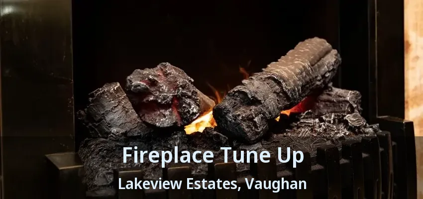 Fireplace Tune Up Lakeview Estates, Vaughan - ON