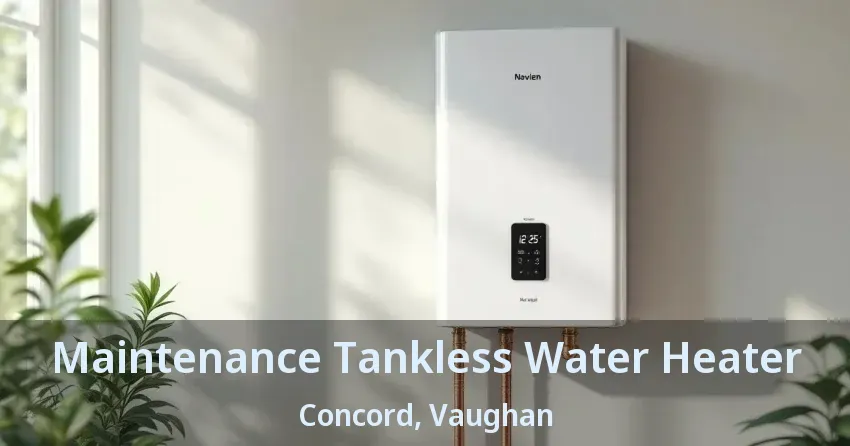 Maintenance Tankless Water Heater Concord, Vaughan - ON Maintenance Tankless Water Heater Concord, Vaughan - ON