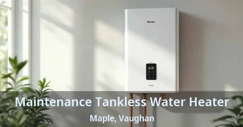 Maintenance Tankless Water Heater Maple, Vaughan - ON Maintenance Tankless Water Heater Maple, Vaughan - ON