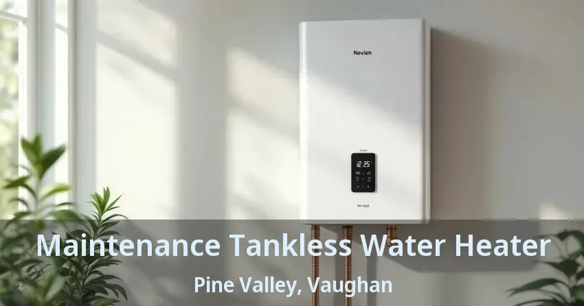Maintenance Tankless Water Heater Pine Valley, Vaughan - ON Maintenance Tankless Water Heater Pine Valley, Vaughan - ON