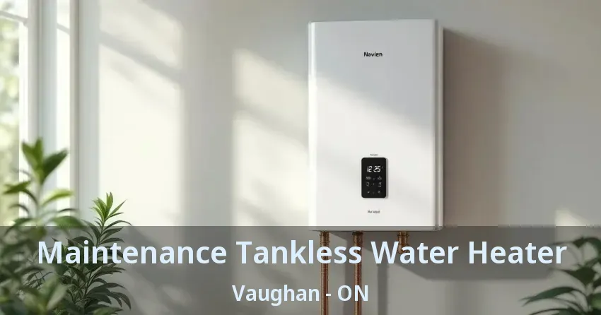 Maintenance Tankless Water Heater Vaughan - ON Maintenance Tankless Water Heater Vaughan - ON