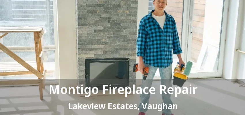 Montigo Fireplace Repair Lakeview Estates, Vaughan - ON