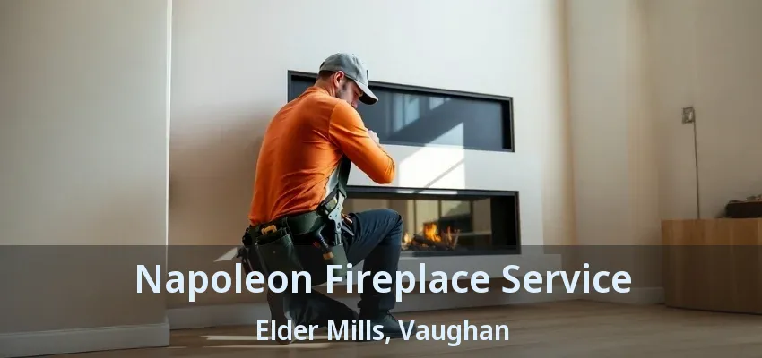 Napoleon Fireplace Service Elder Mills, Vaughan - ON
