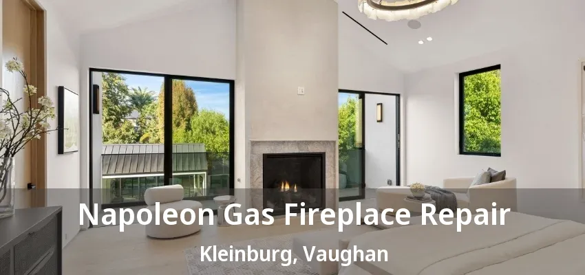 Napoleon Gas Fireplace Repair Kleinburg, Vaughan - ON