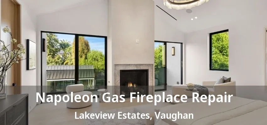 Napoleon Gas Fireplace Repair Lakeview Estates, Vaughan - ON
