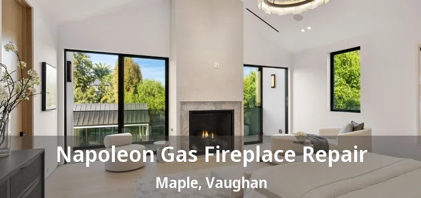 Napoleon Gas Fireplace Repair Maple, Vaughan - ON