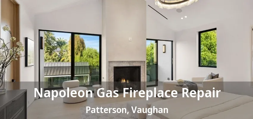 Napoleon Gas Fireplace Repair Patterson, Vaughan - ON