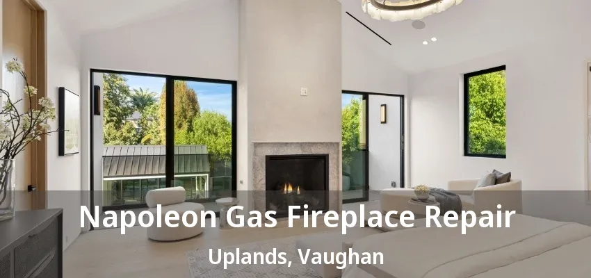 Napoleon Gas Fireplace Repair Uplands, Vaughan - ON Napoleon Gas Fireplace Repair Uplands, Vaughan - ON