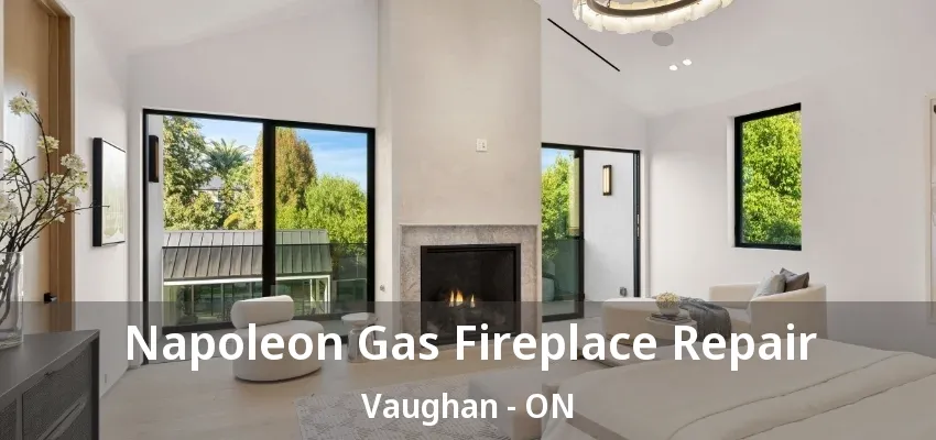 Napoleon Gas Fireplace Repair Vaughan - ON