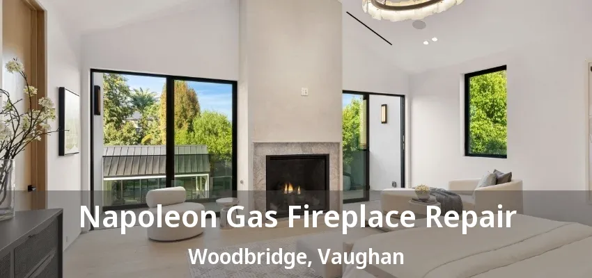 Napoleon Gas Fireplace Repair Woodbridge, Vaughan - ON Napoleon Gas Fireplace Repair Woodbridge, Vaughan - ON