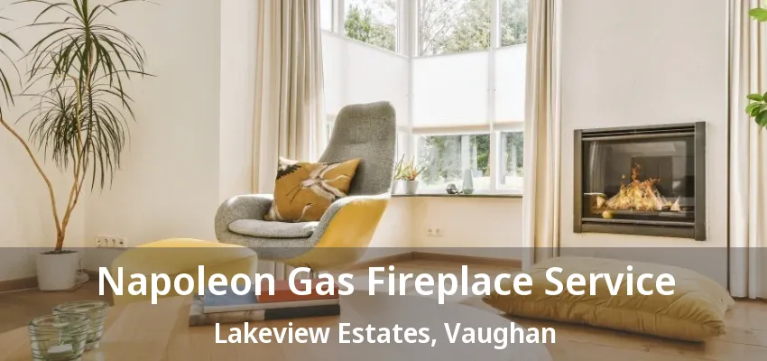 Napoleon Gas Fireplace Service Lakeview Estates, Vaughan - ON