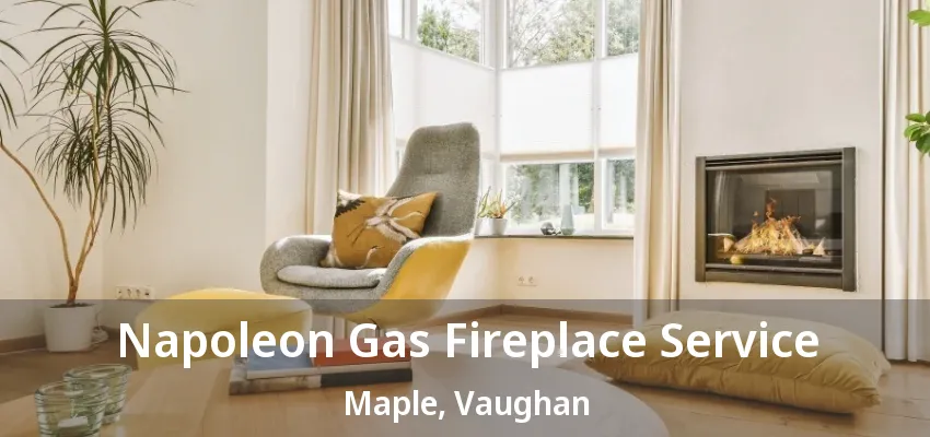 Napoleon Gas Fireplace Service Maple, Vaughan - ON Napoleon Gas Fireplace Service Maple, Vaughan - ON