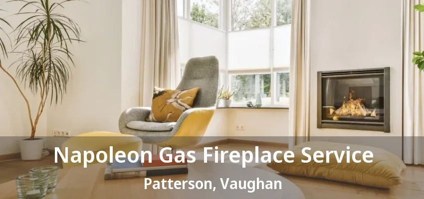 Napoleon Gas Fireplace Service Patterson, Vaughan - ON