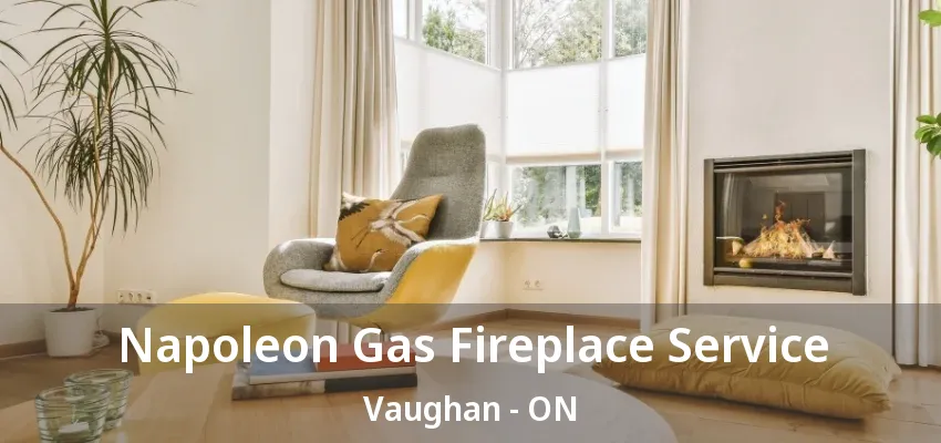 Napoleon Gas Fireplace Service Vaughan - ON