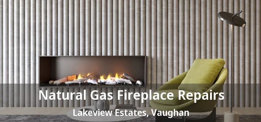Natural Gas Fireplace Repairs Lakeview Estates, Vaughan - ON Natural Gas Fireplace Repairs Lakeview Estates, Vaughan - ON