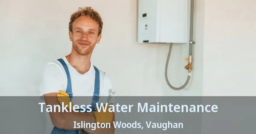 Tankless Water Maintenance Islington Woods, Vaughan - ON Tankless Water Maintenance Islington Woods, Vaughan - ON