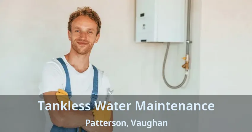 Tankless Water Maintenance Patterson, Vaughan - ON Tankless Water Maintenance Patterson, Vaughan - ON