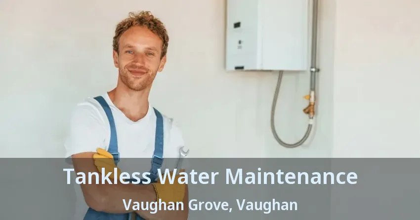 Tankless Water Maintenance Vaughan Grove, Vaughan - ON Tankless Water Maintenance Vaughan Grove, Vaughan - ON
