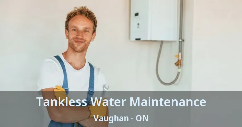Tankless Water Maintenance Vaughan - ON Tankless Water Maintenance Vaughan - ON